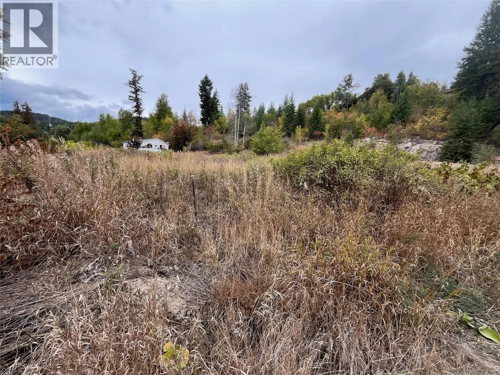 2481 Squilax Anglemont Road Lot# 48