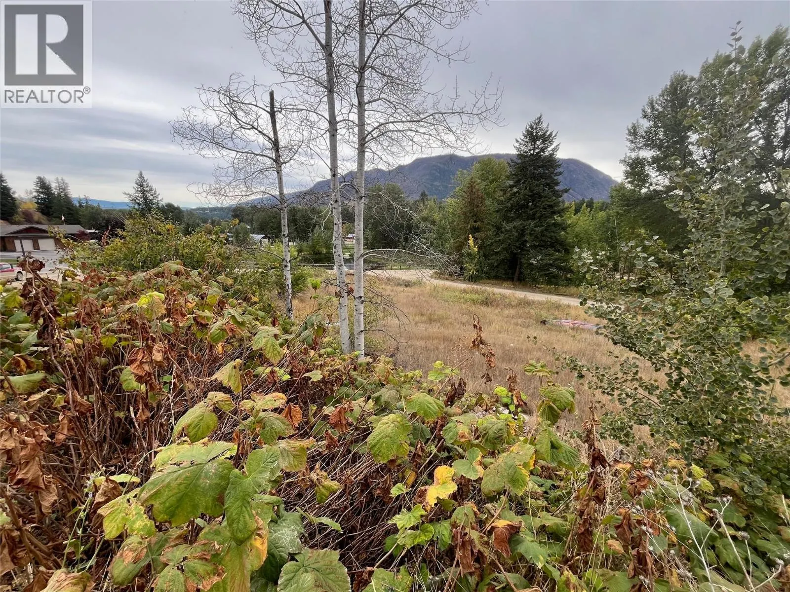 2481 Squilax Anglemont Road Lot# 48