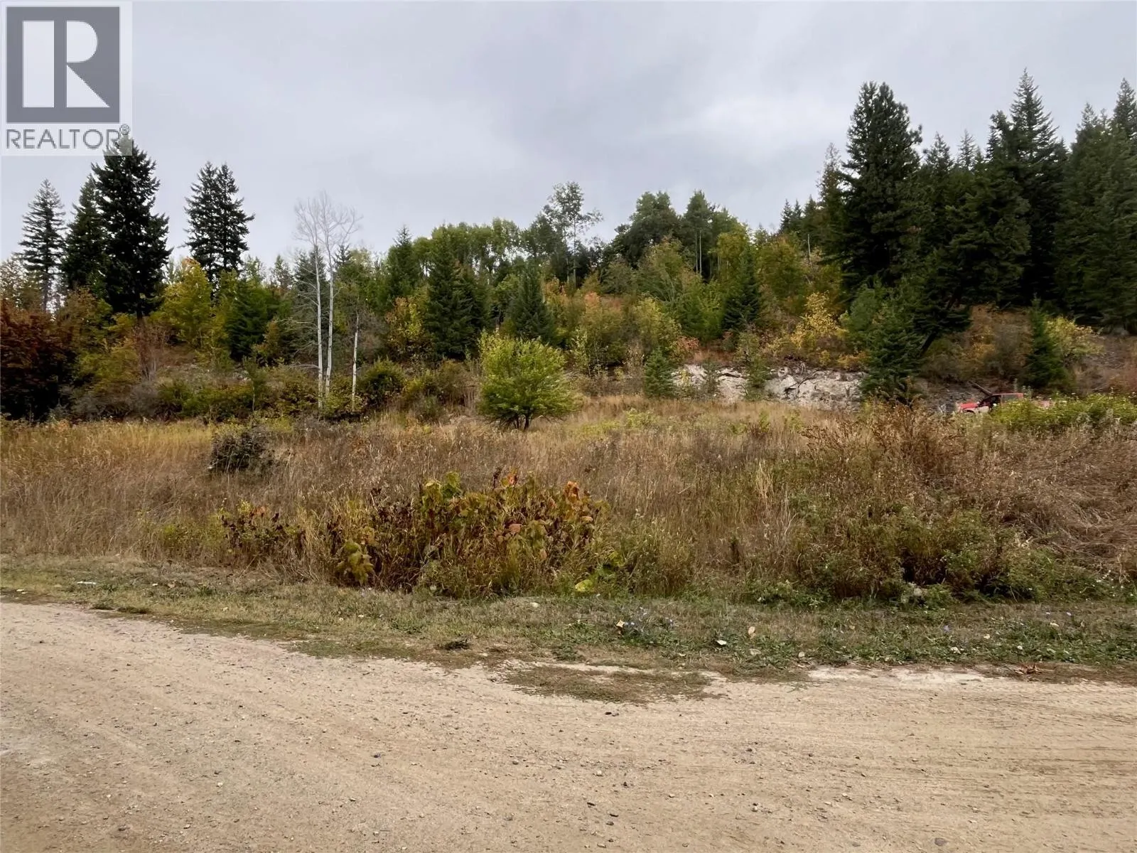 2481 Squilax Anglemont Road Lot# 48