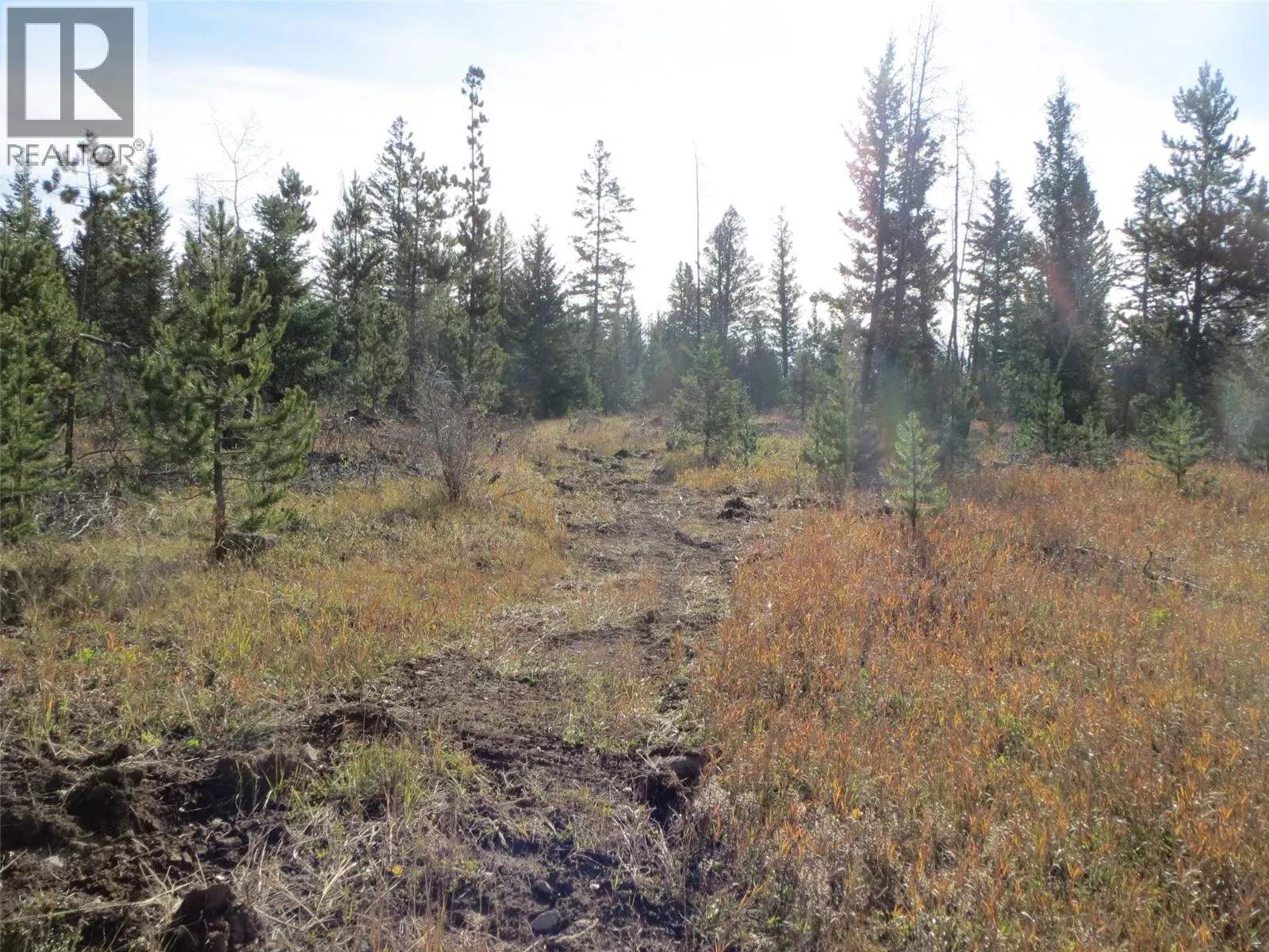 9648 Cariboo Highway 97