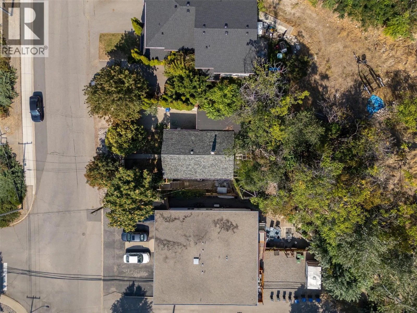 294 Norton Street
