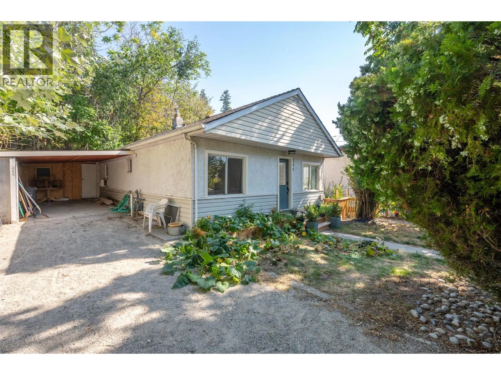 294 Norton Street