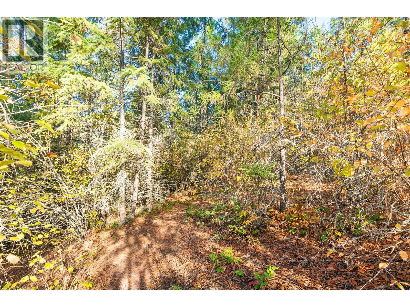 Lot 11 EVANS Road