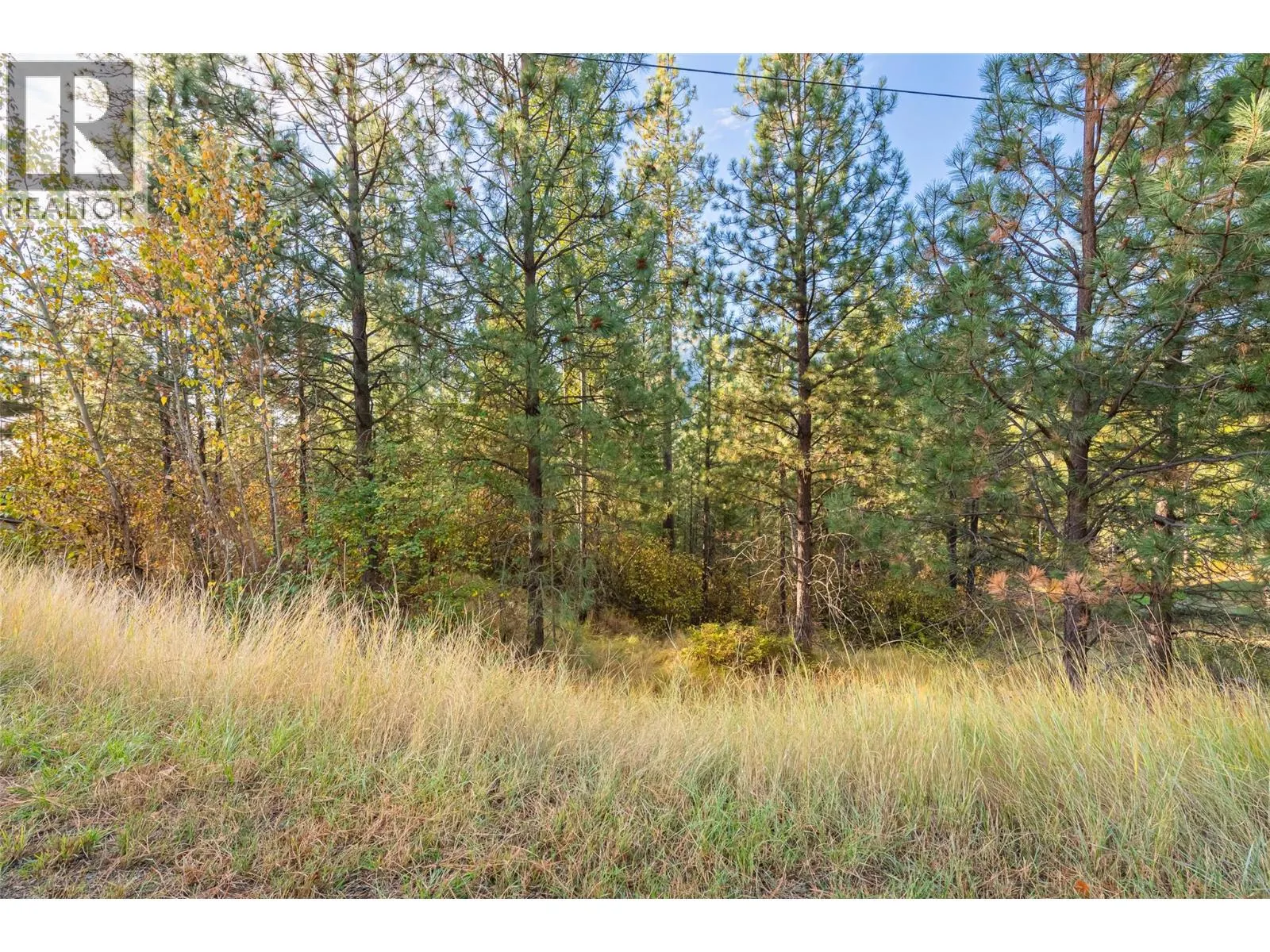 Lot 11 EVANS Road