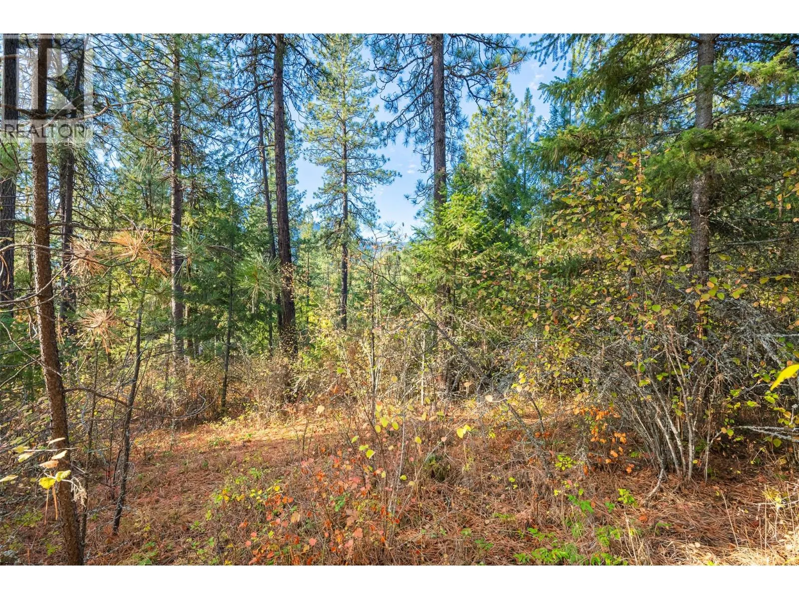 Lot 11 EVANS Road