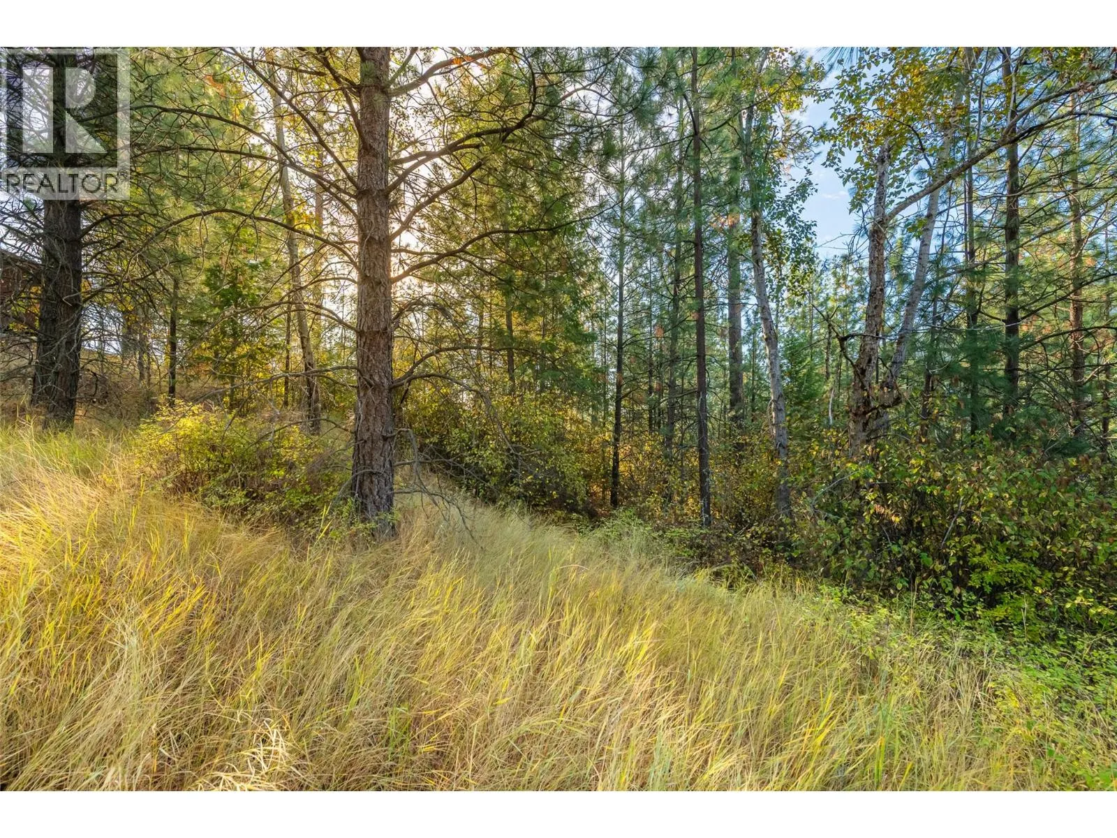 Lot 11 EVANS Road