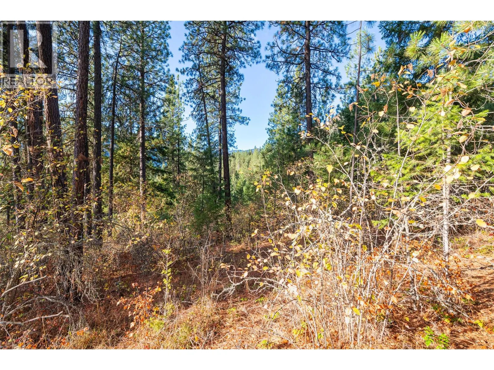Lot 11 EVANS Road