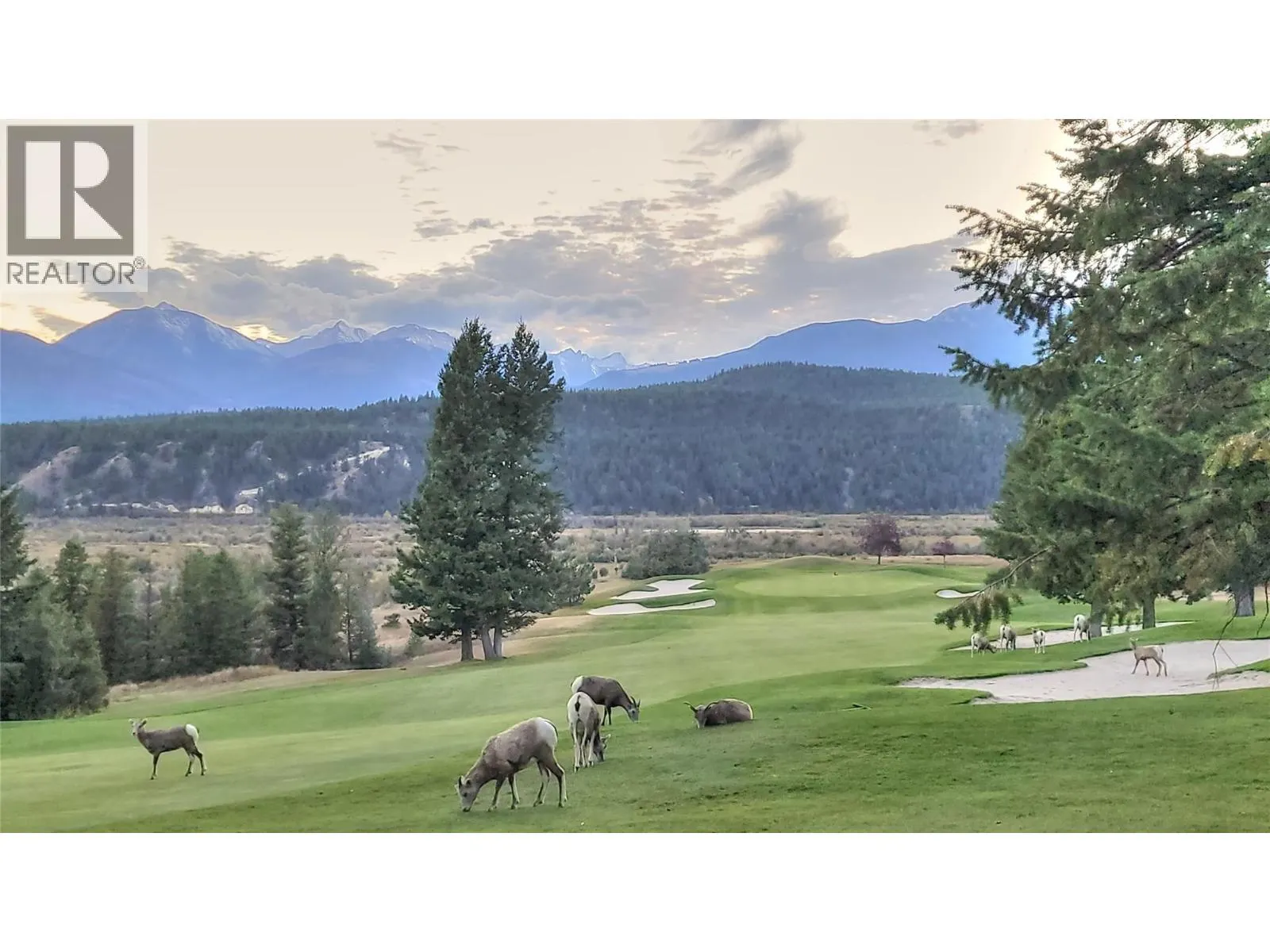 500 BIGHORN Boulevard Unit# 532 B