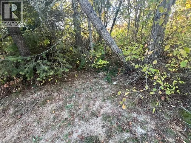 3720  and  3770 Foster Road