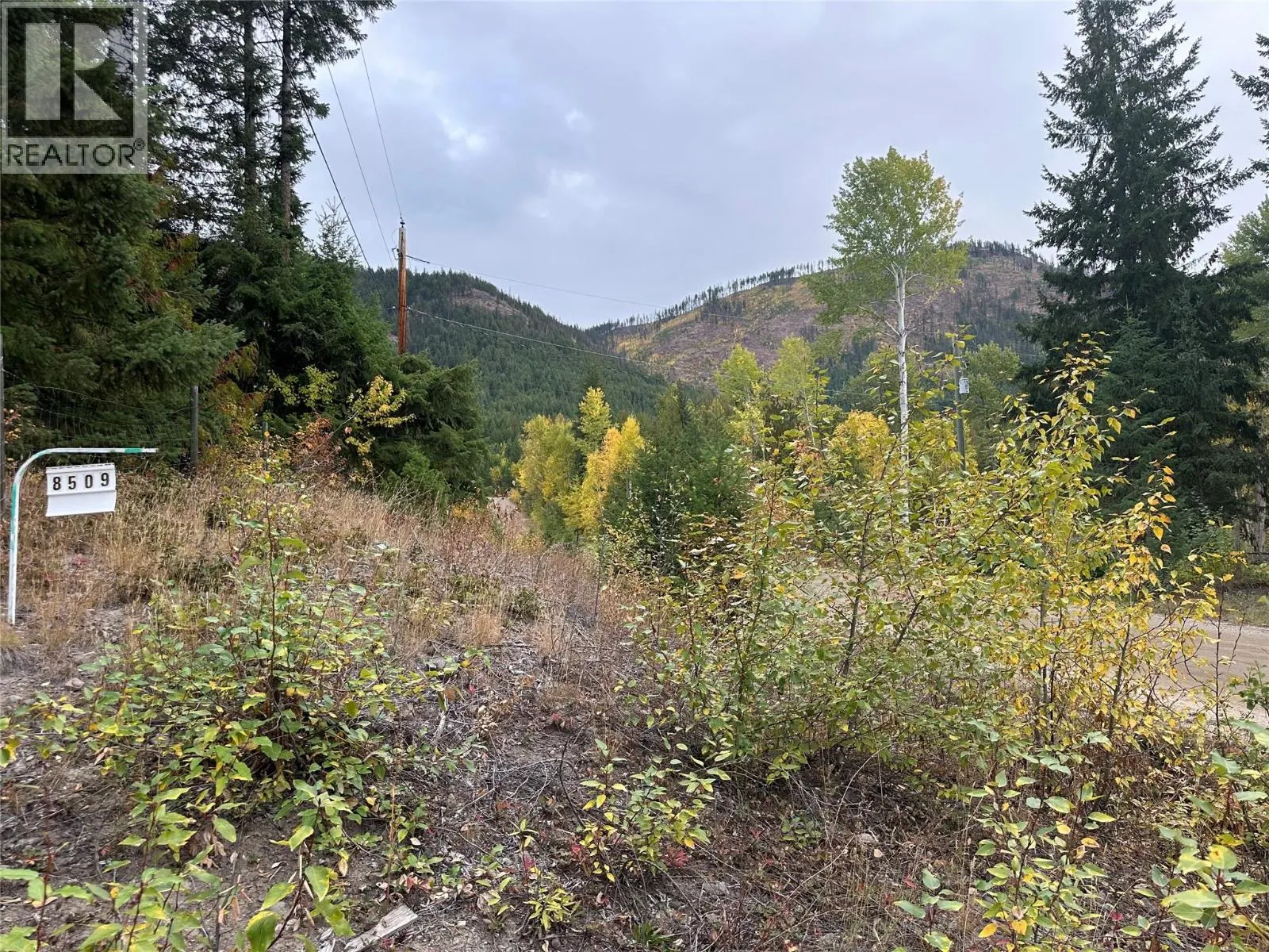 8509 Black Mountain Road