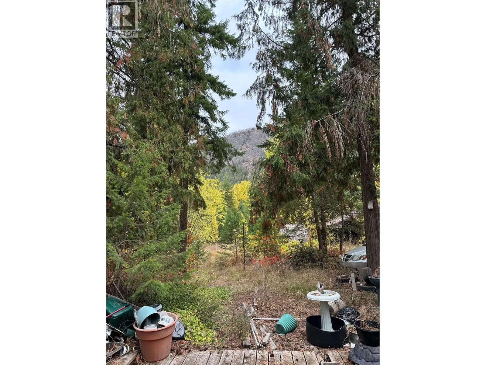 8509 Black Mountain Road