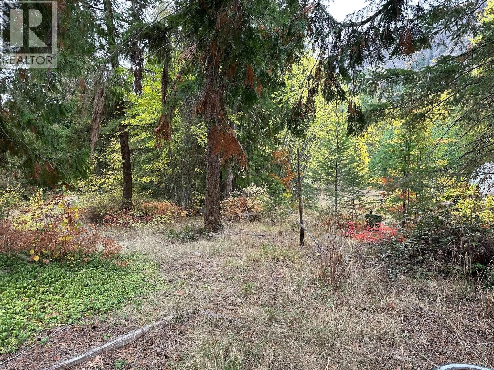 8509 Black Mountain Road
