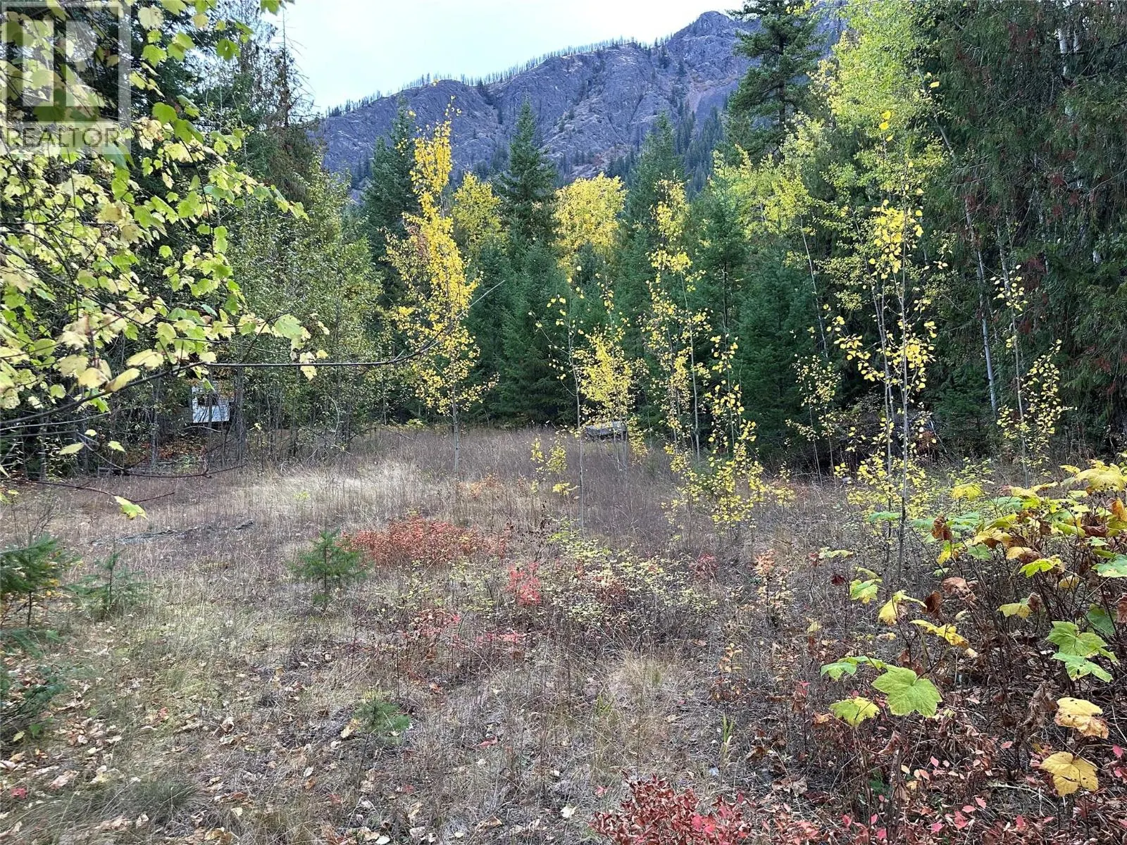 8509 Black Mountain Road