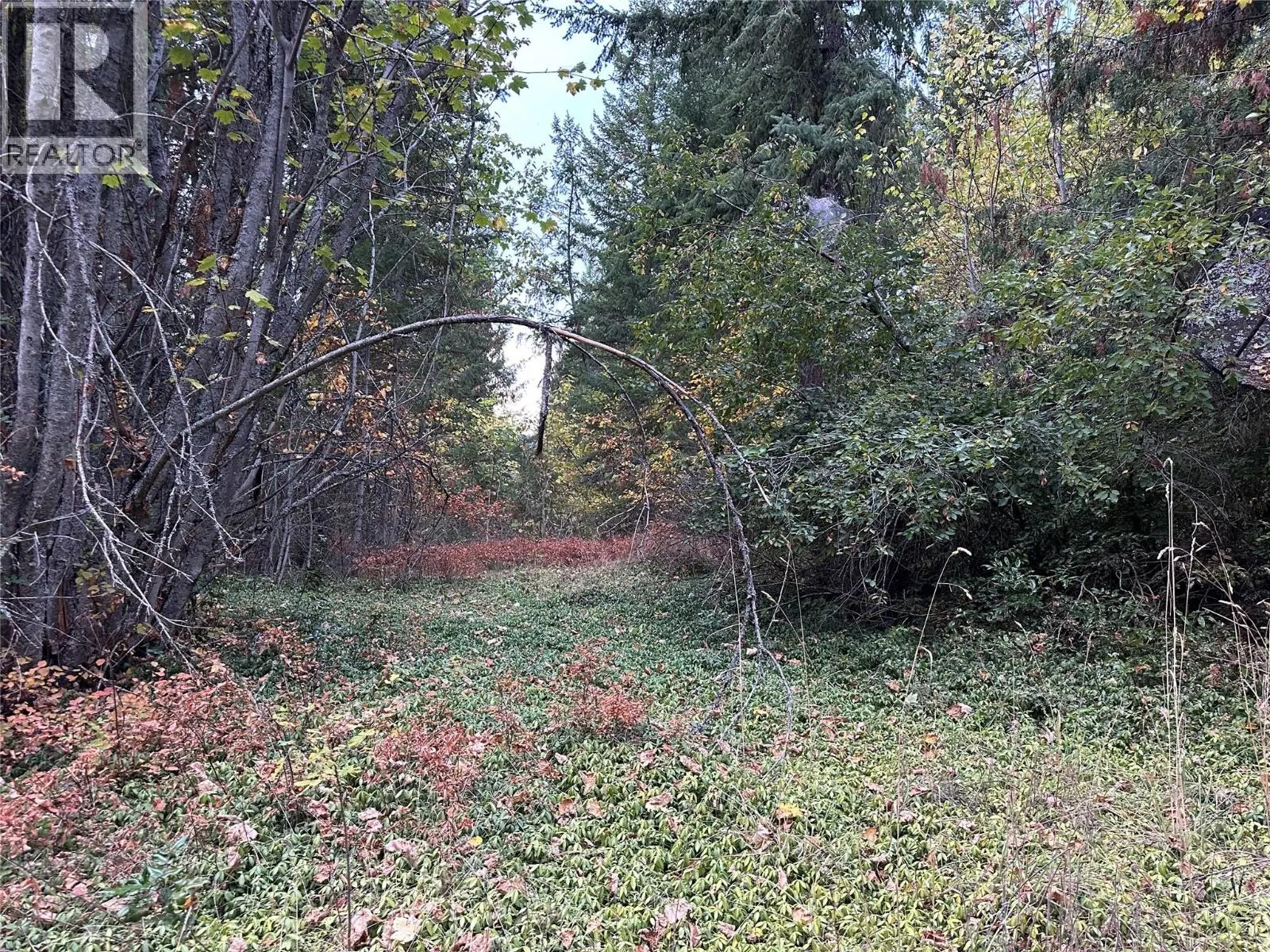 8509 Black Mountain Road
