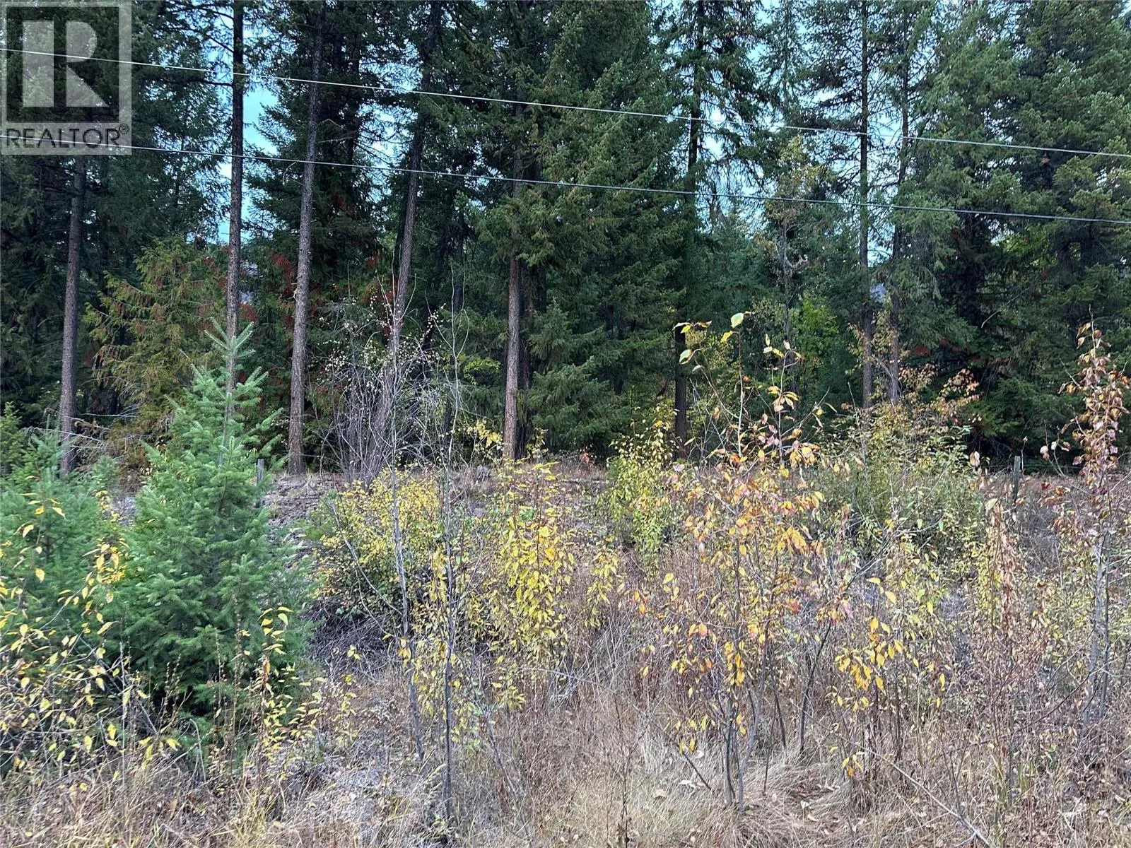 8509 Black Mountain Road