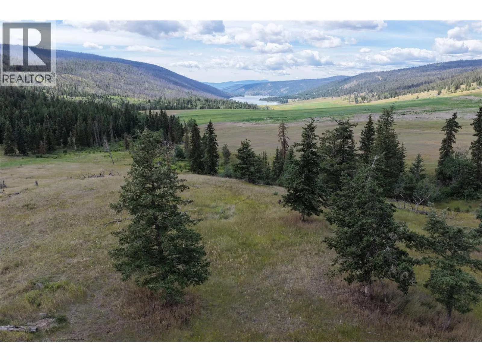 3850 Loon Lake Road