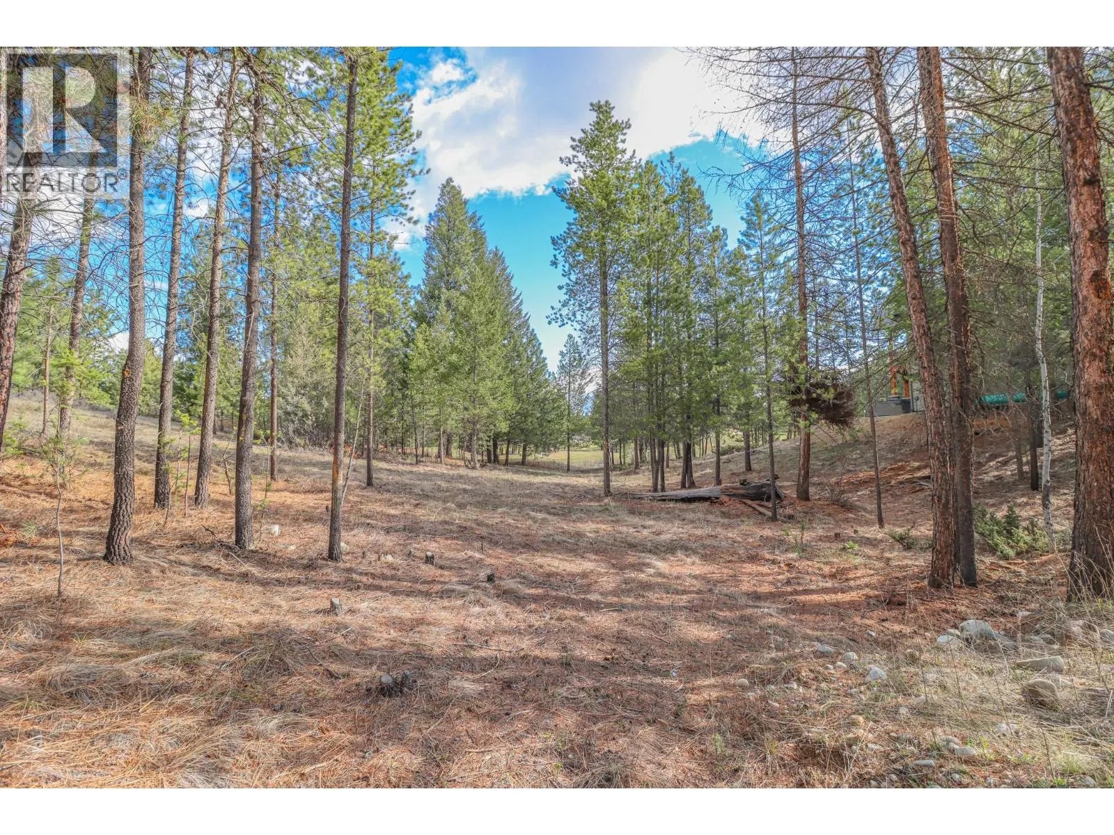 333 CORRAL Close