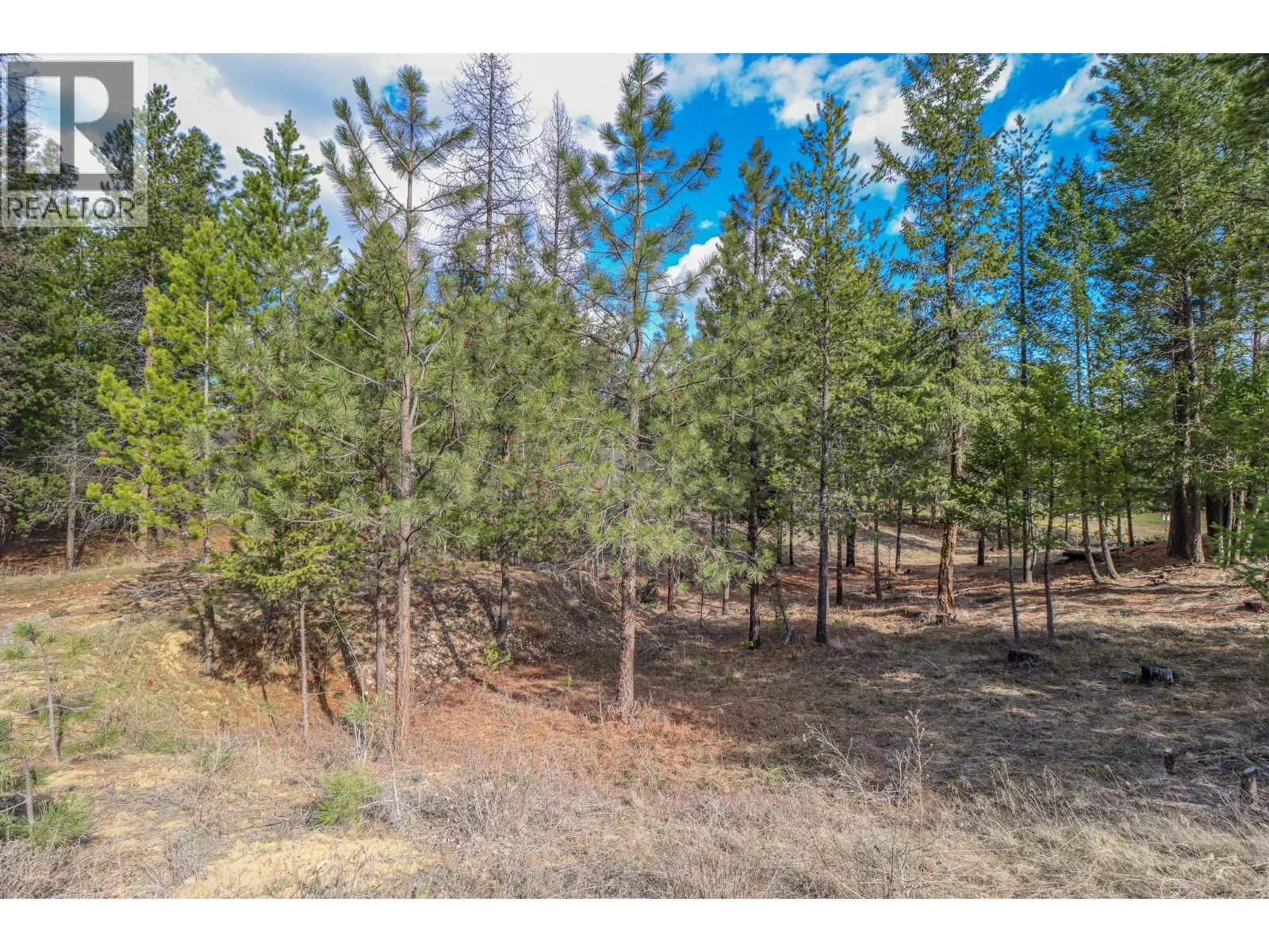 333 CORRAL Close