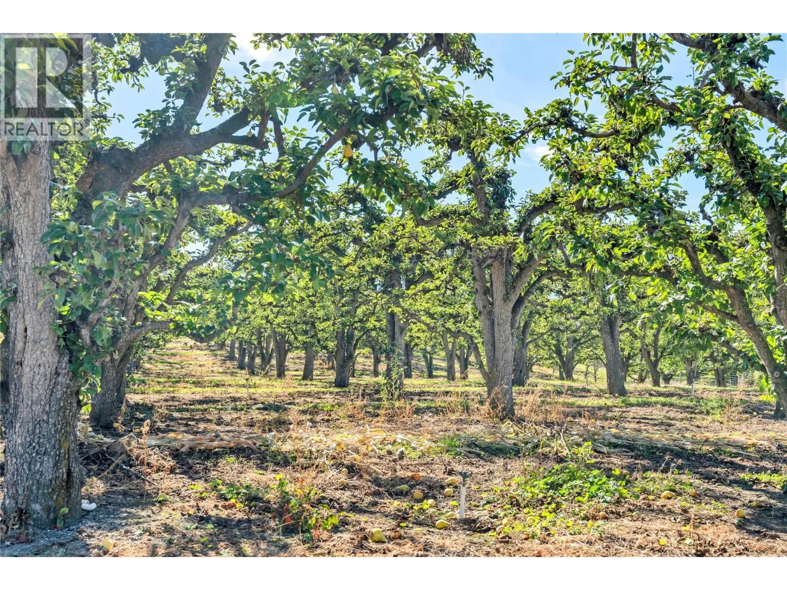 235 Middle Bench Road N