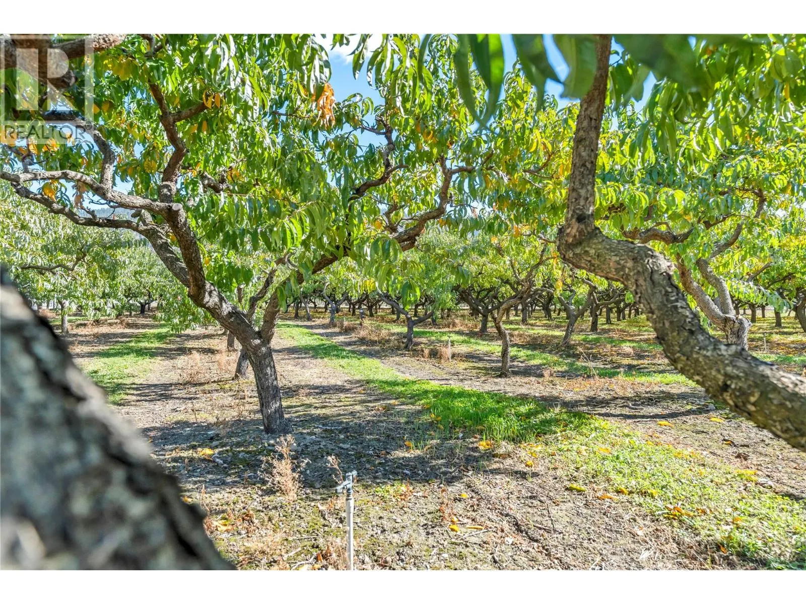 235 Middle Bench Road N