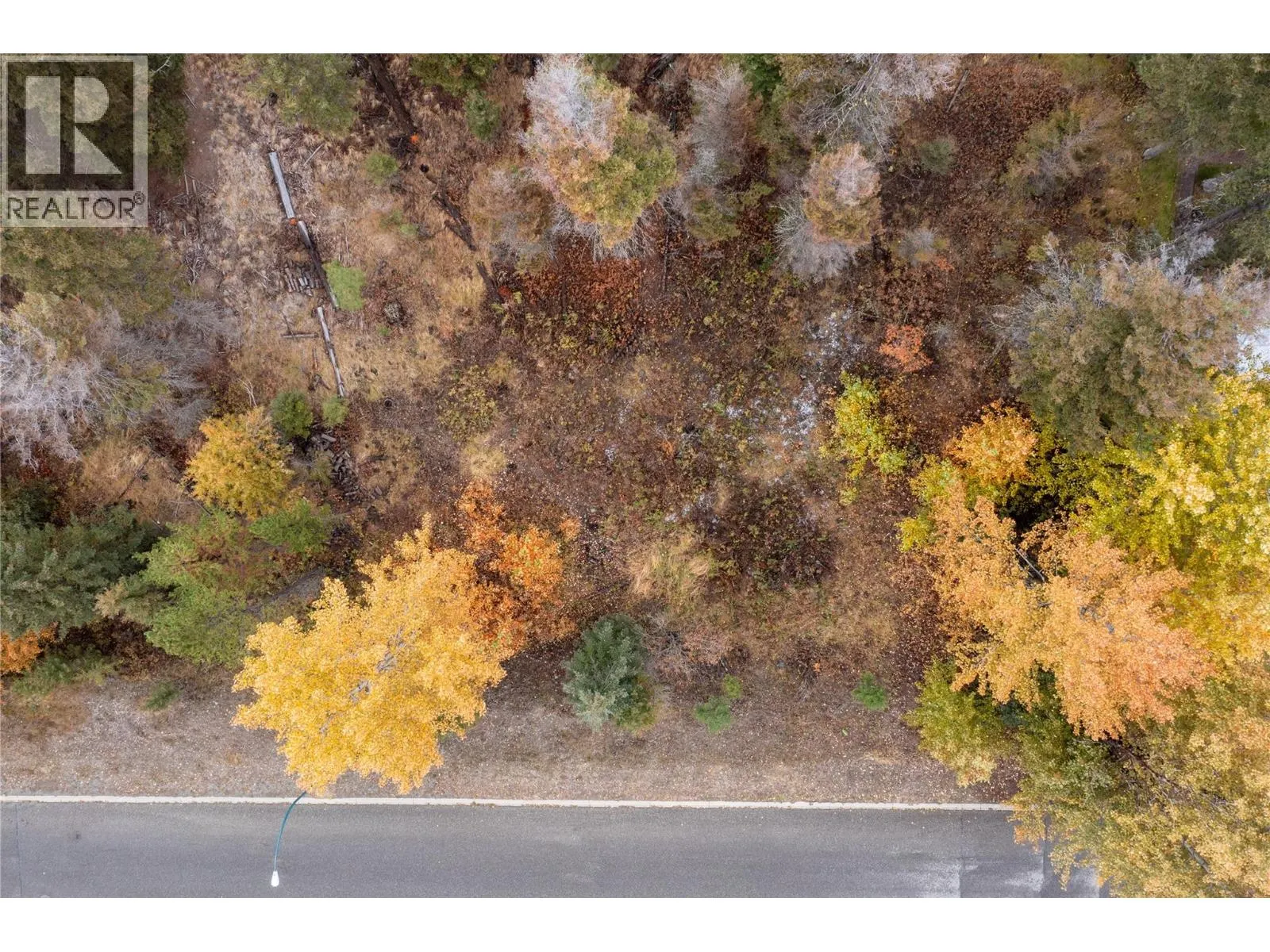 339 POPLAR Drive