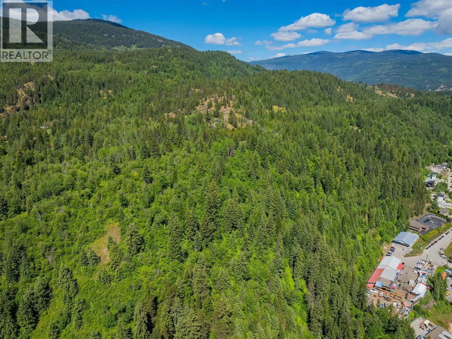 1402 Woodland Drive