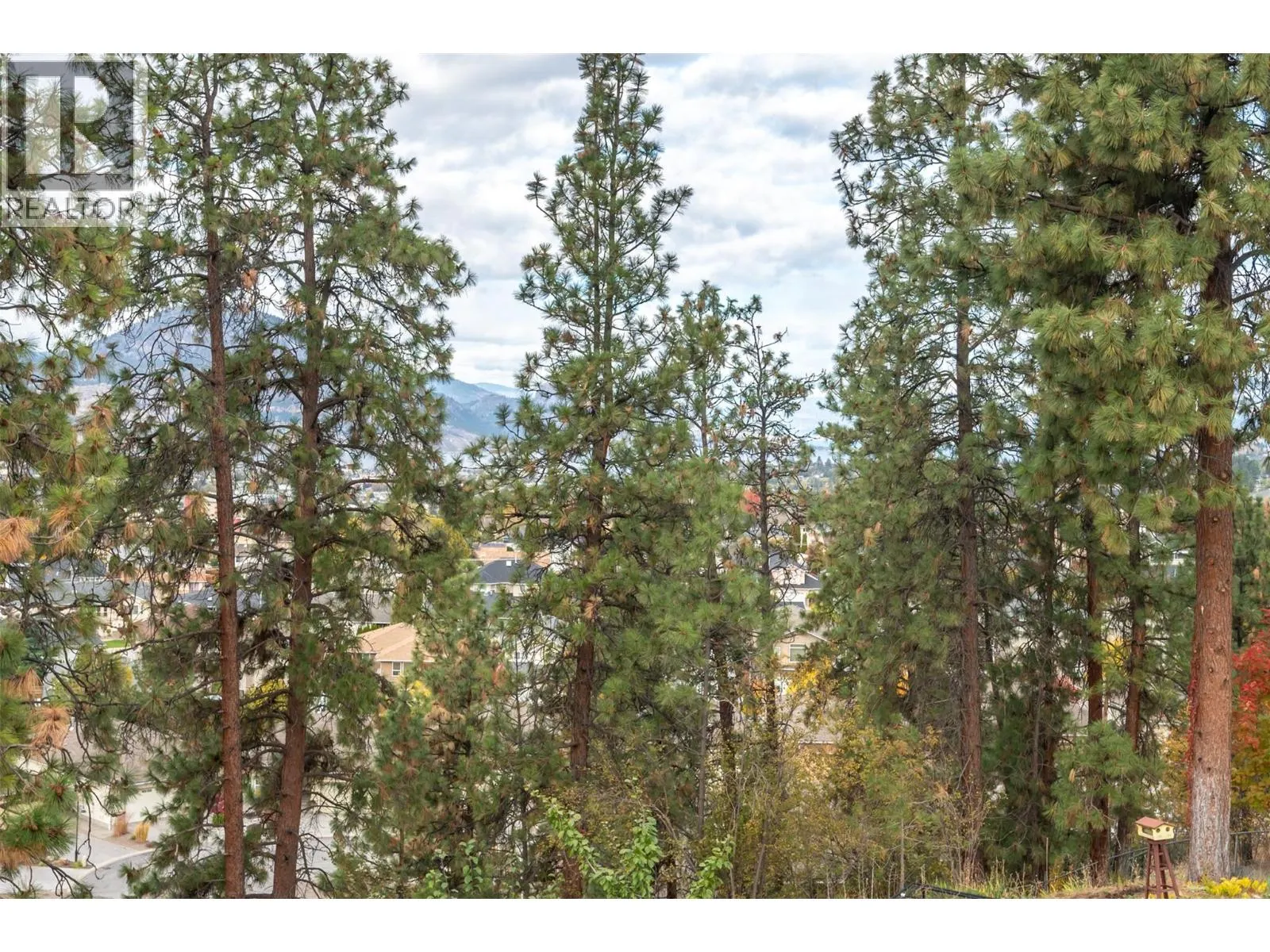 138 EVERGREEN Crescent