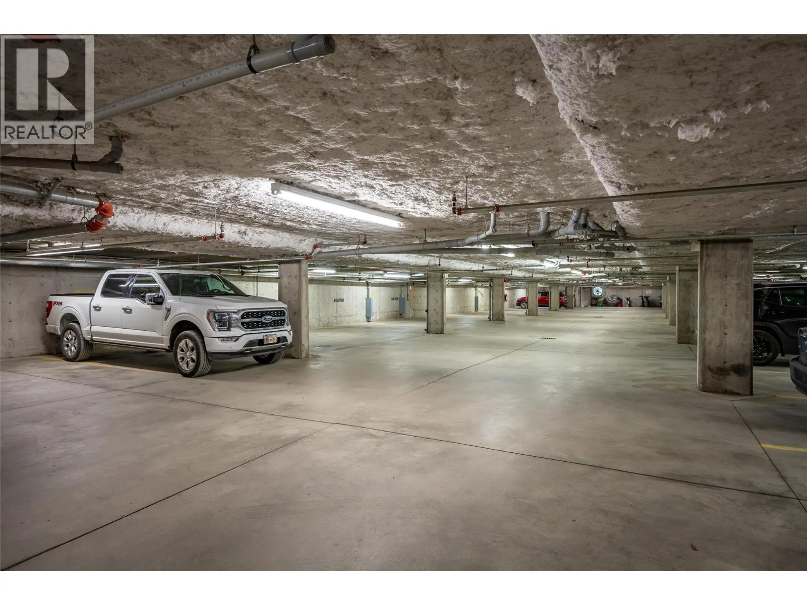 505 RAINBOW Drive Unit# 207