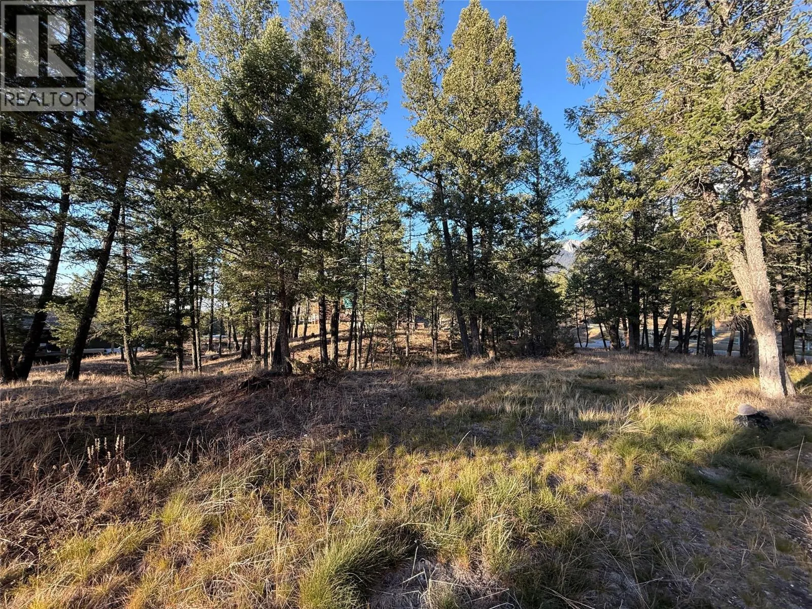 Lot 4 Crooked Tree Place