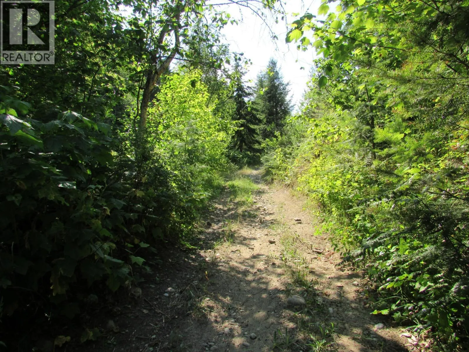 1365 Forest Road