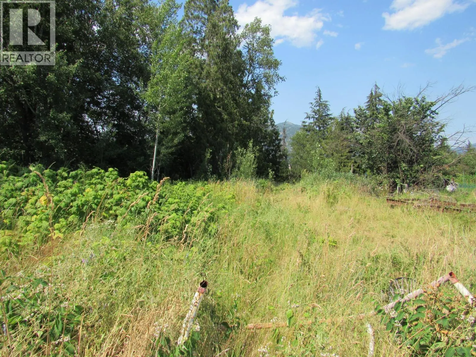 1365 Forest Road