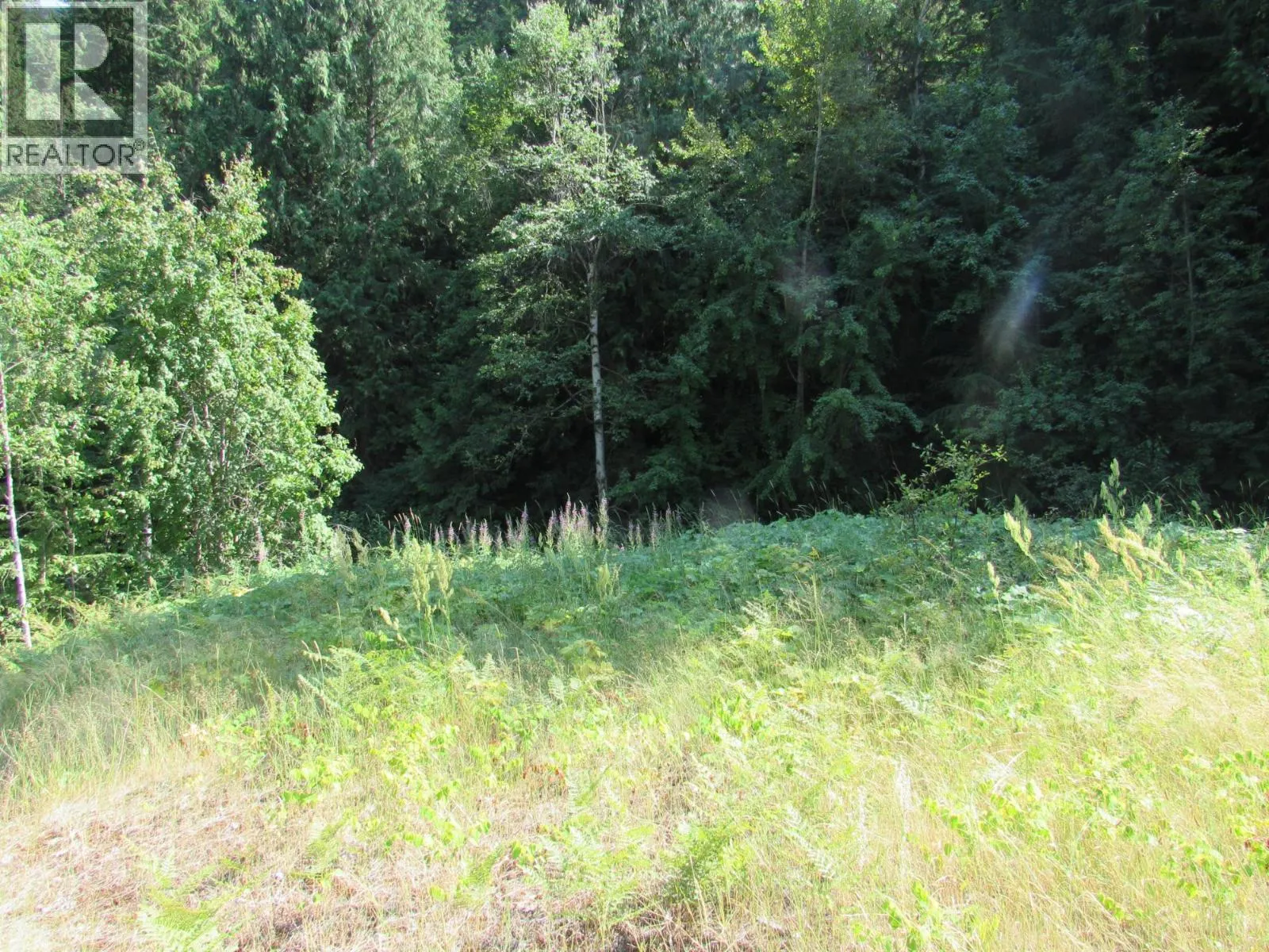 1365 Forest Road