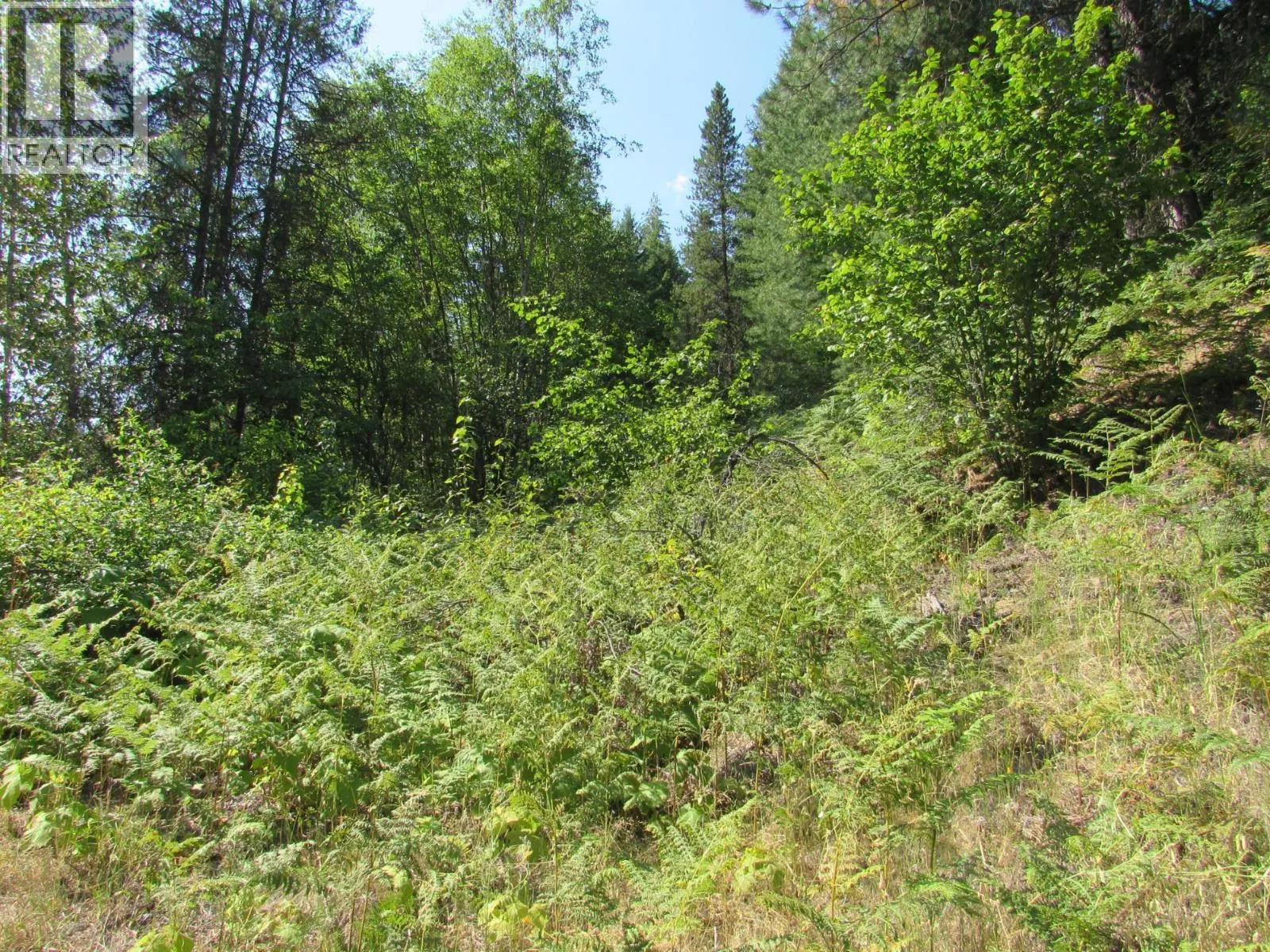 1365 Forest Road