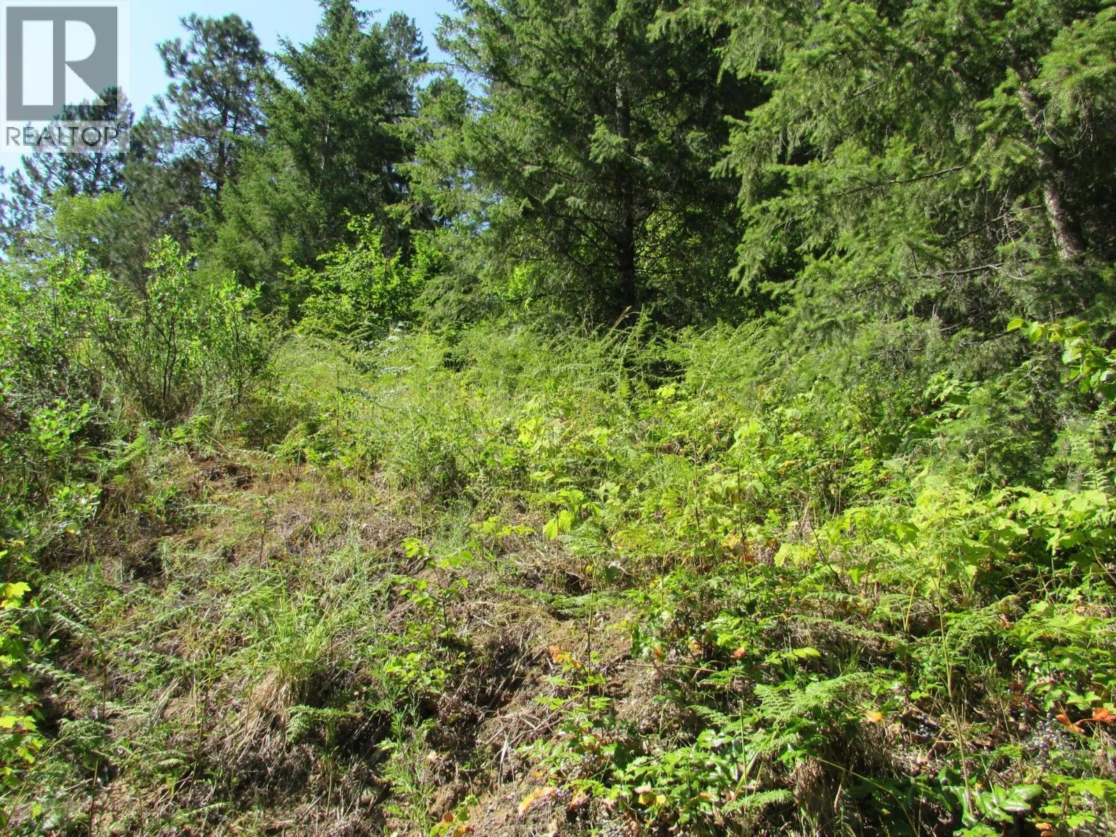 1365 Forest Road