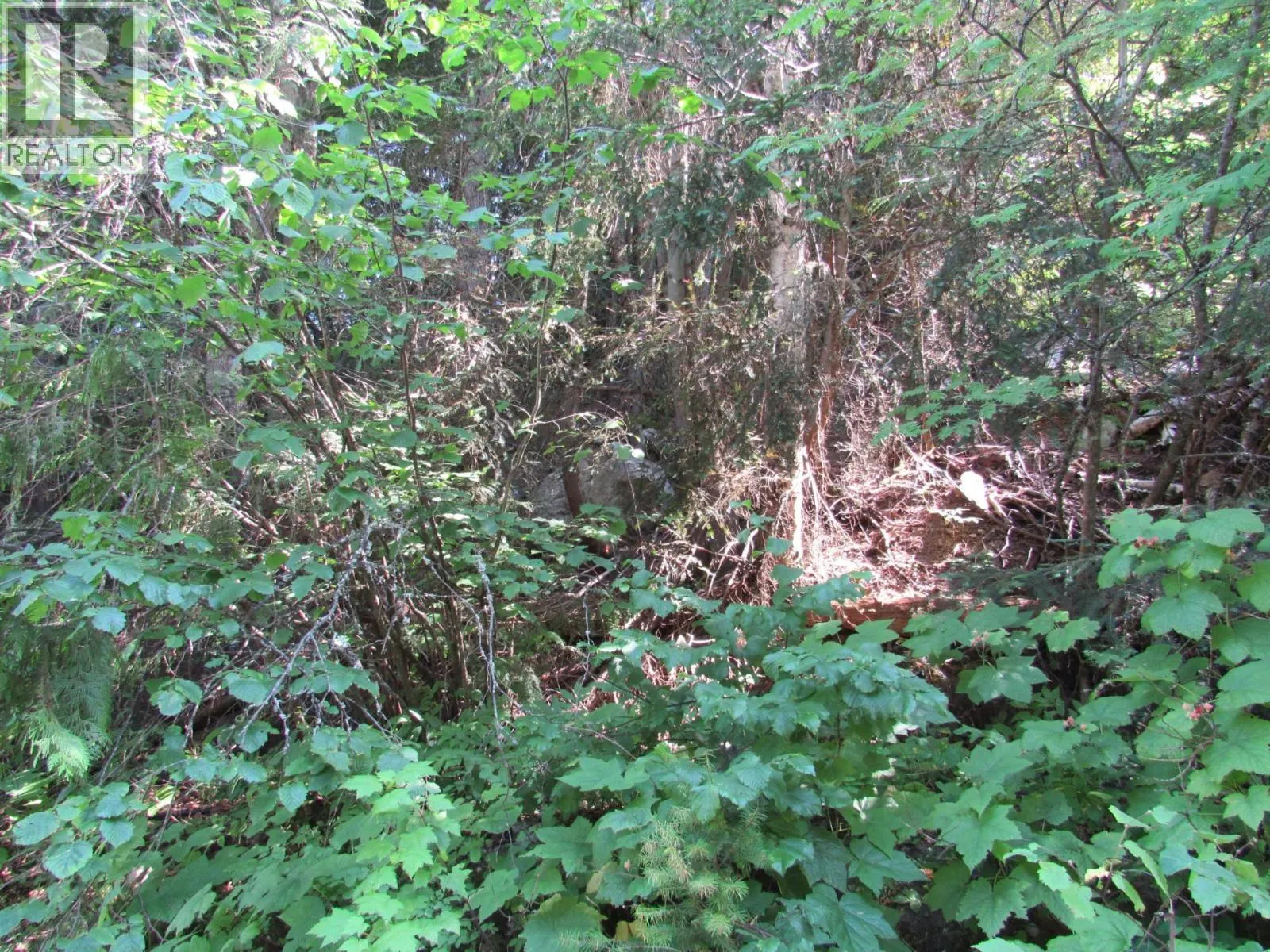 1365 Forest Road
