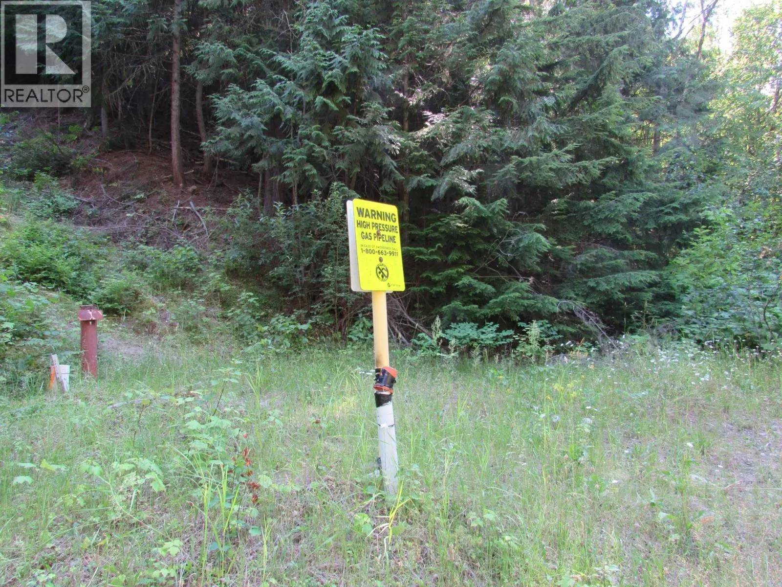 1365 Forest Road