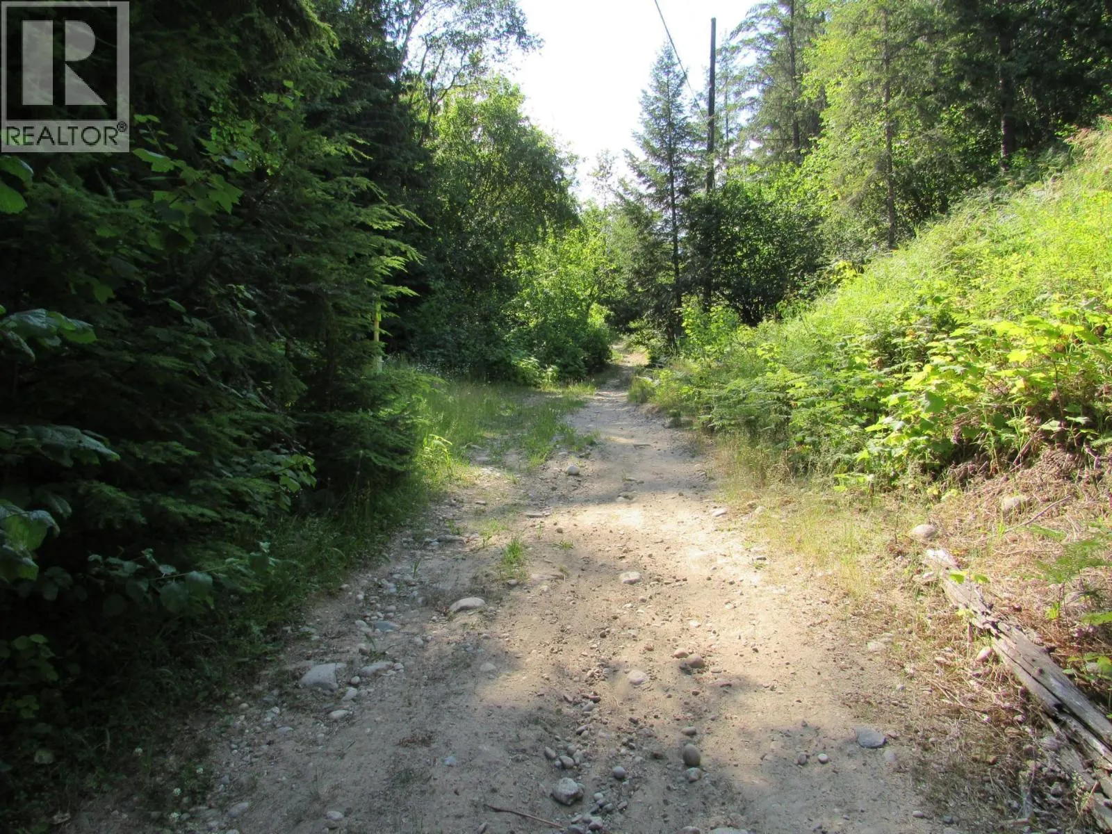 1365 Forest Road
