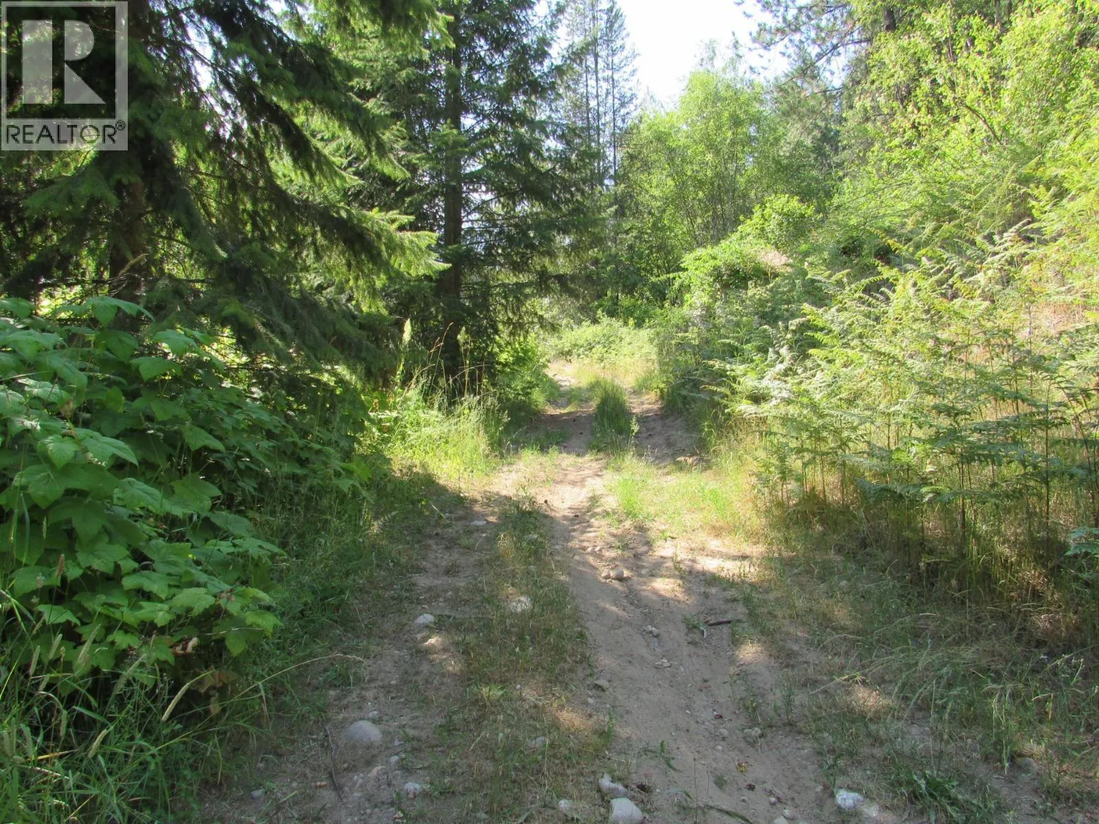 1365 Forest Road