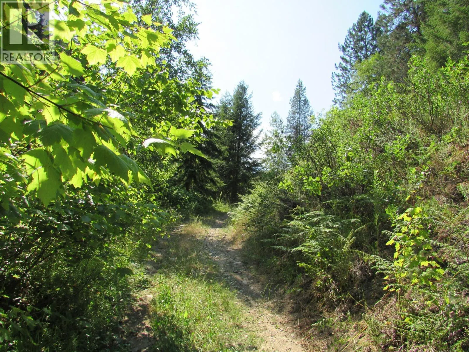 1365 Forest Road