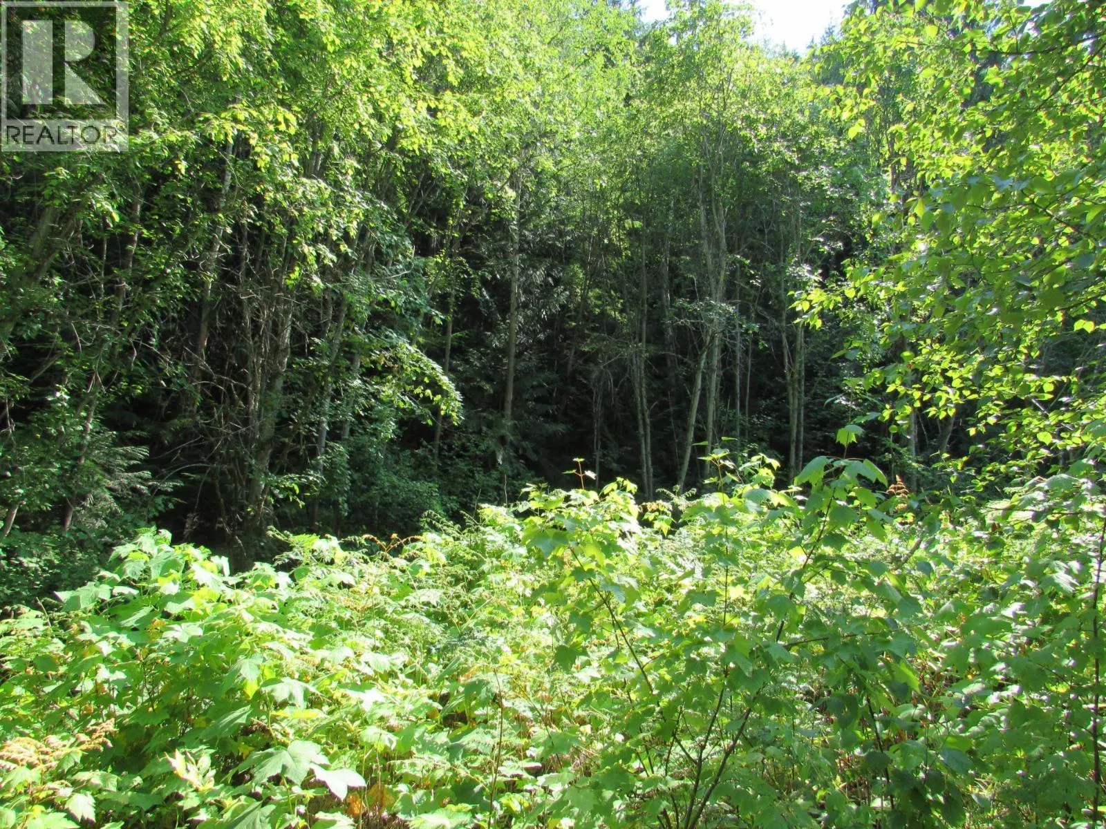 1365 Forest Road