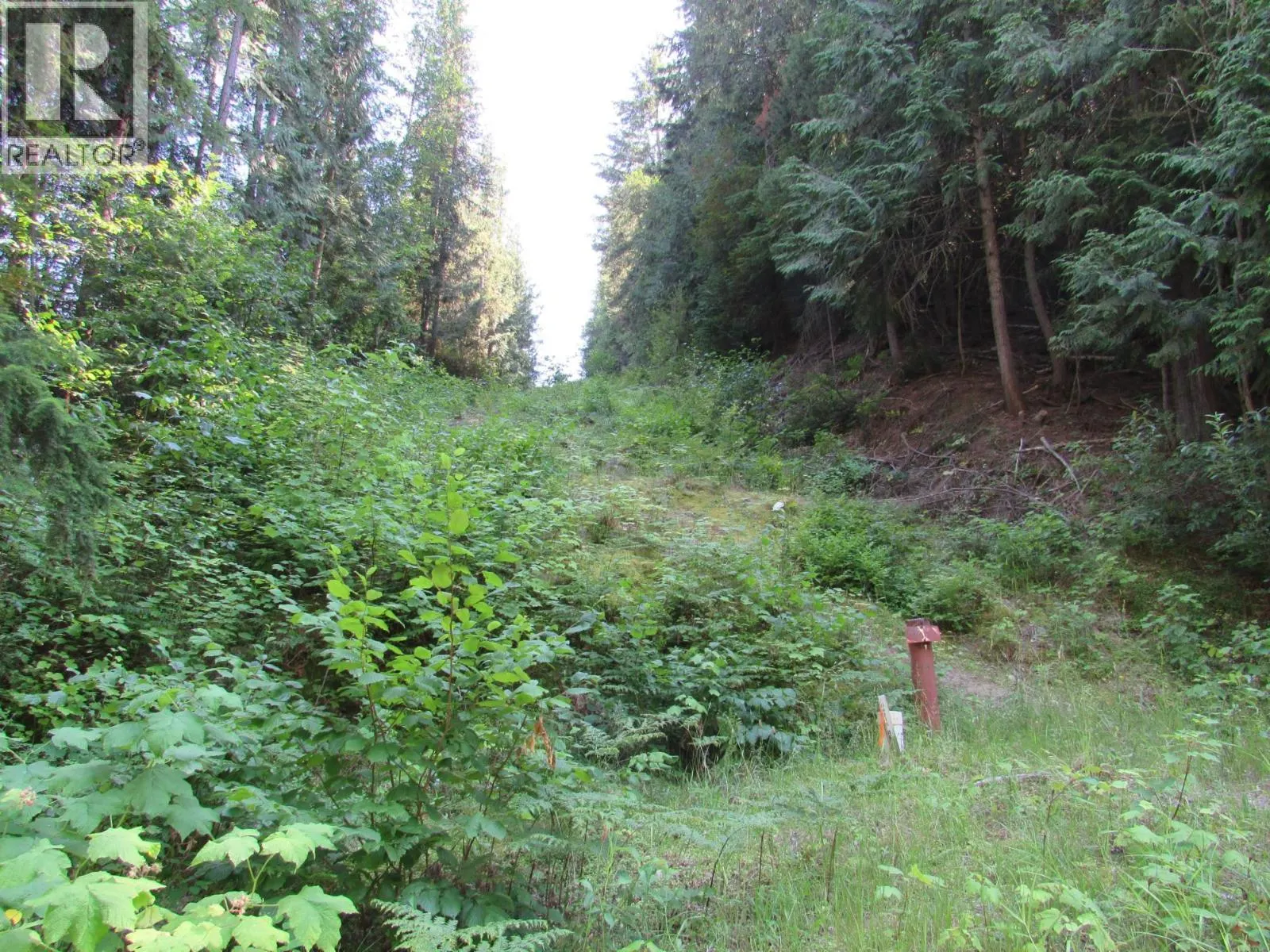 1365 Forest Road