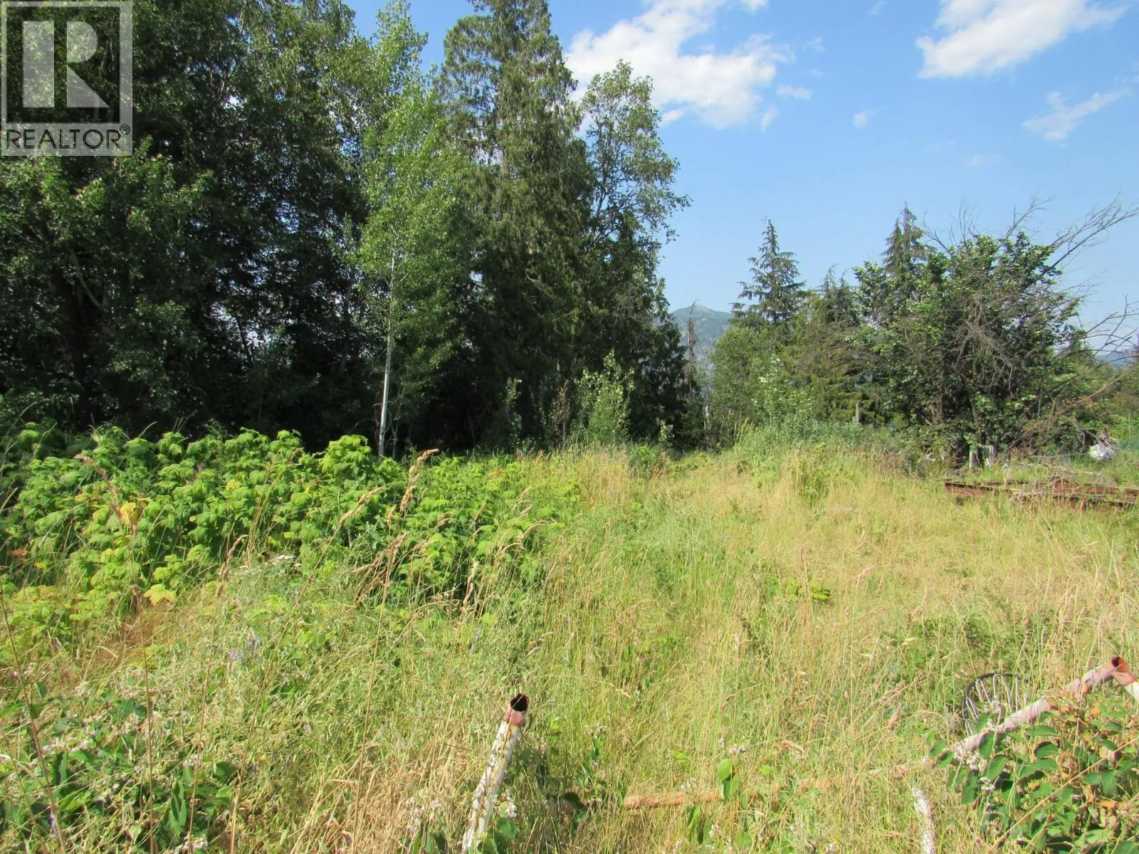 1365 Forest Road