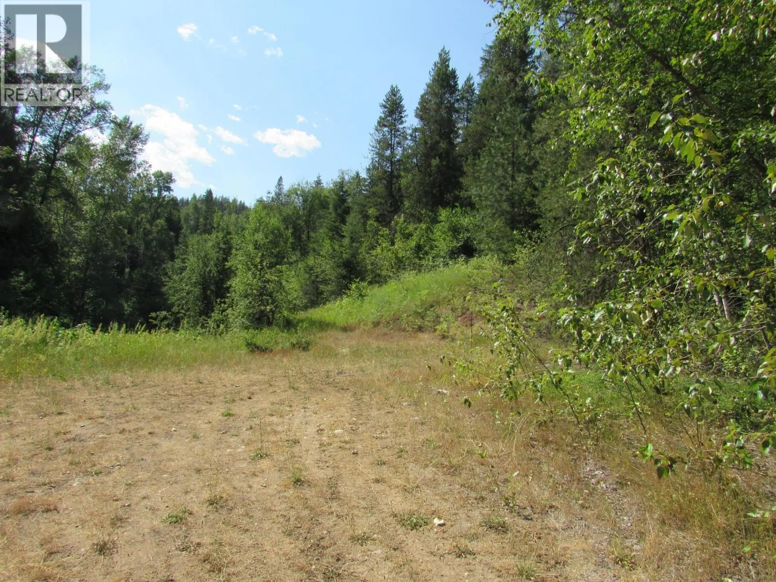 1365 Forest Road
