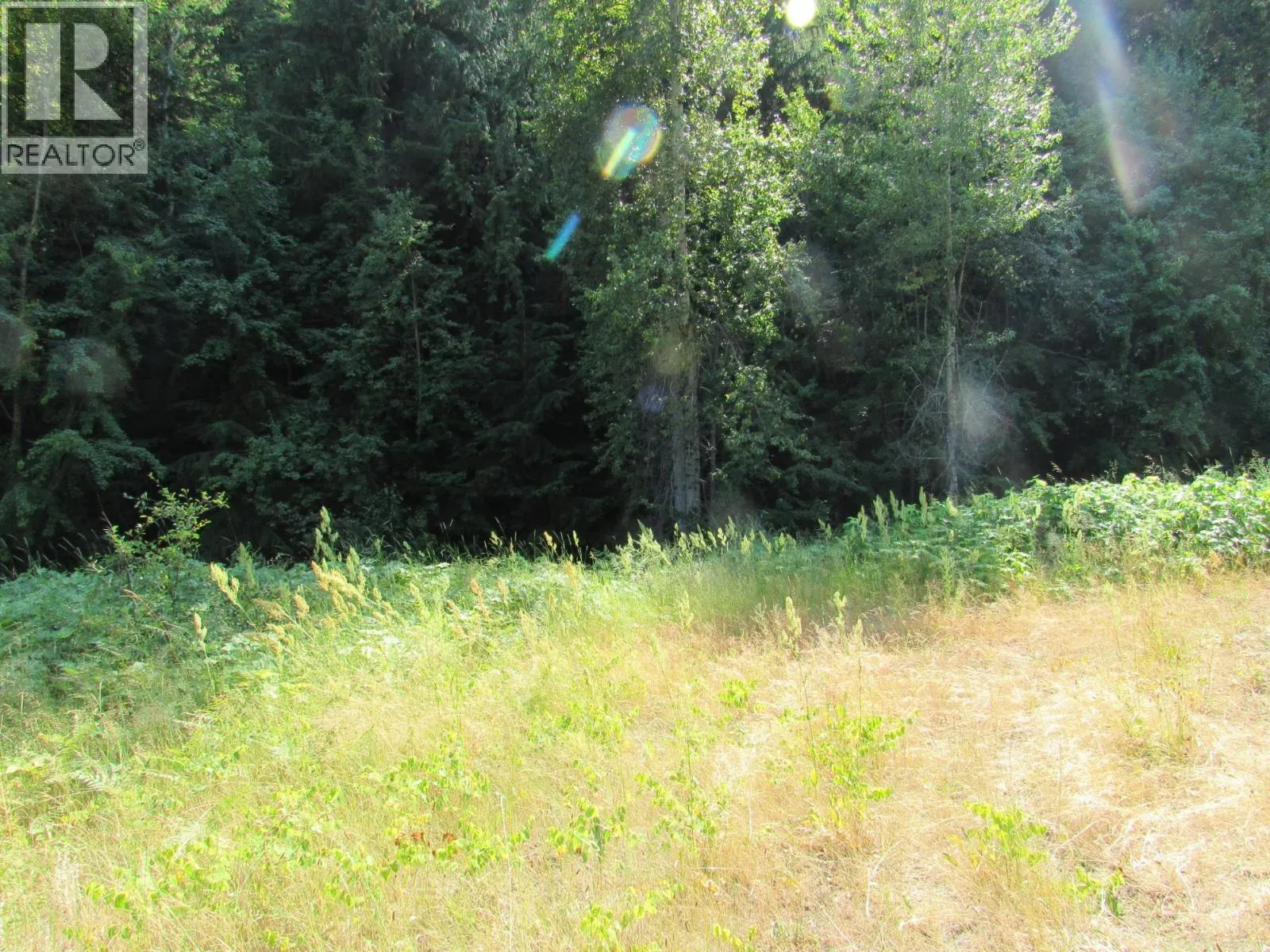 1365 Forest Road
