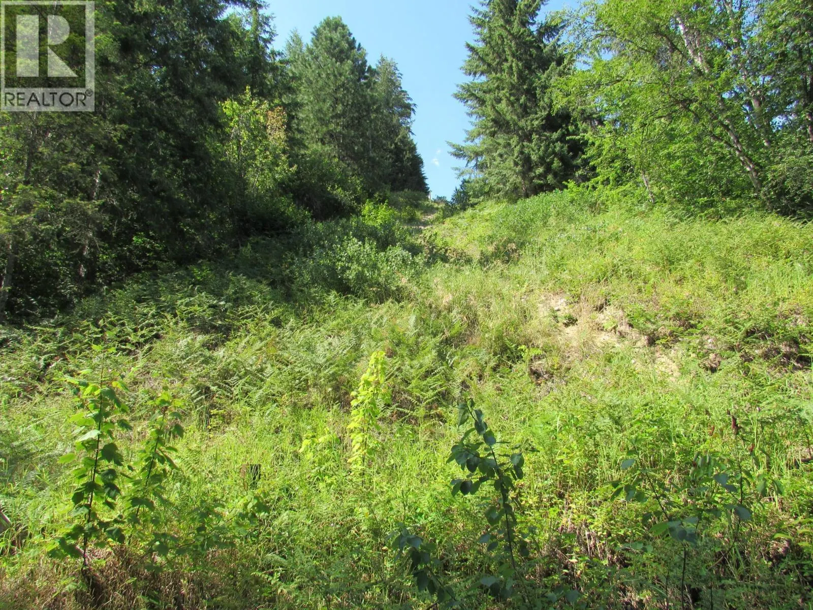 1365 Forest Road