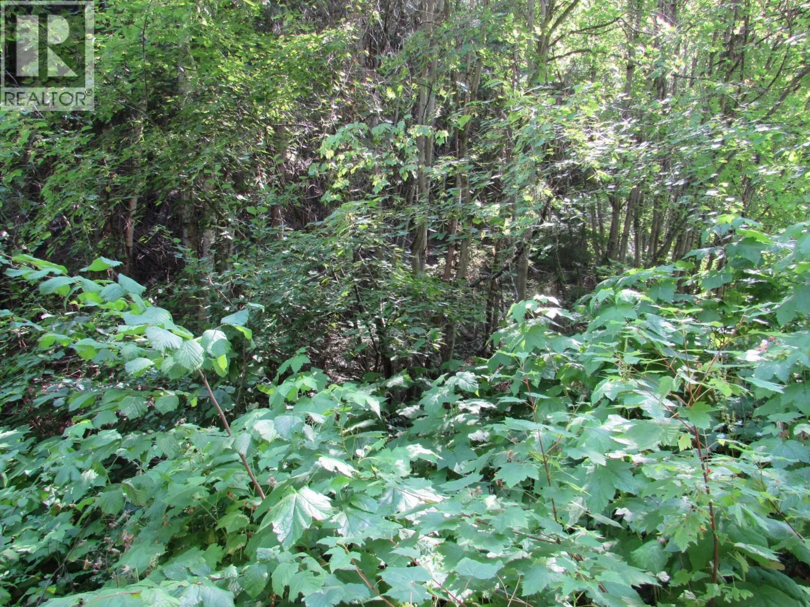 1365 Forest Road