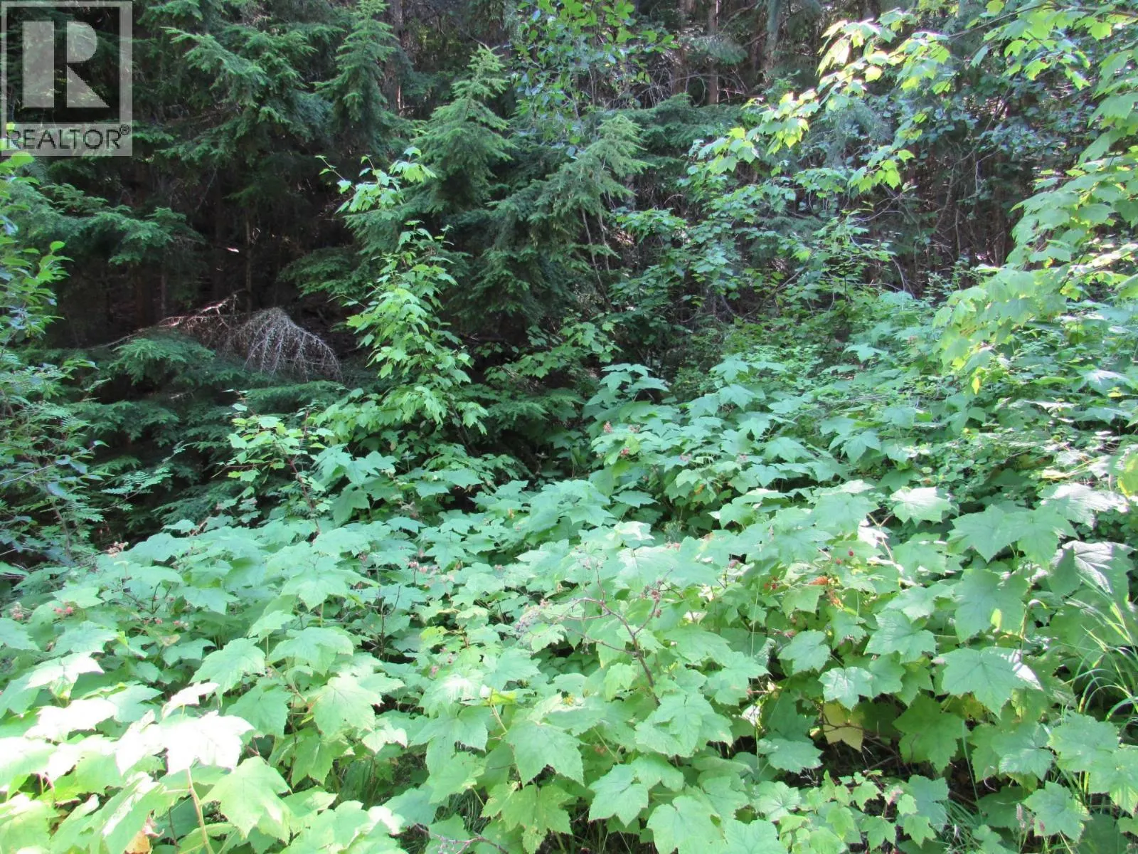 1365 Forest Road