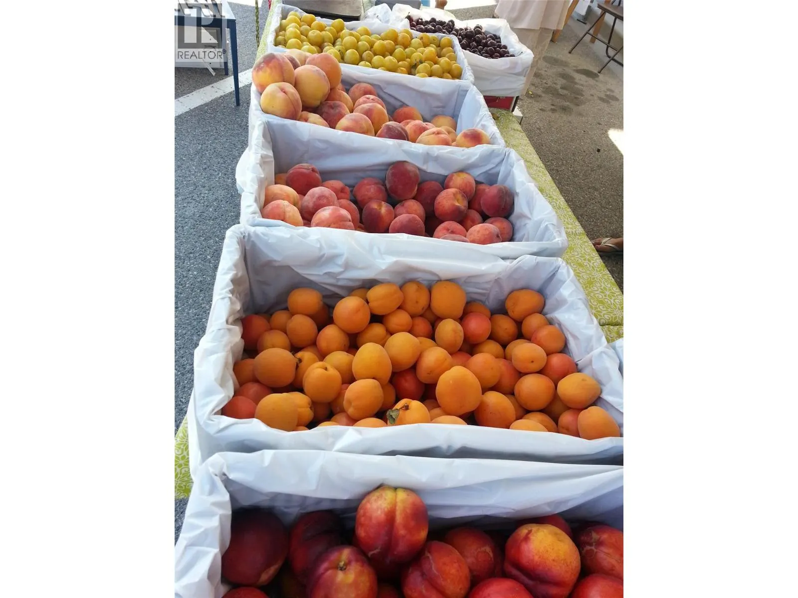 95 WINNIPEG Street Unit# 106