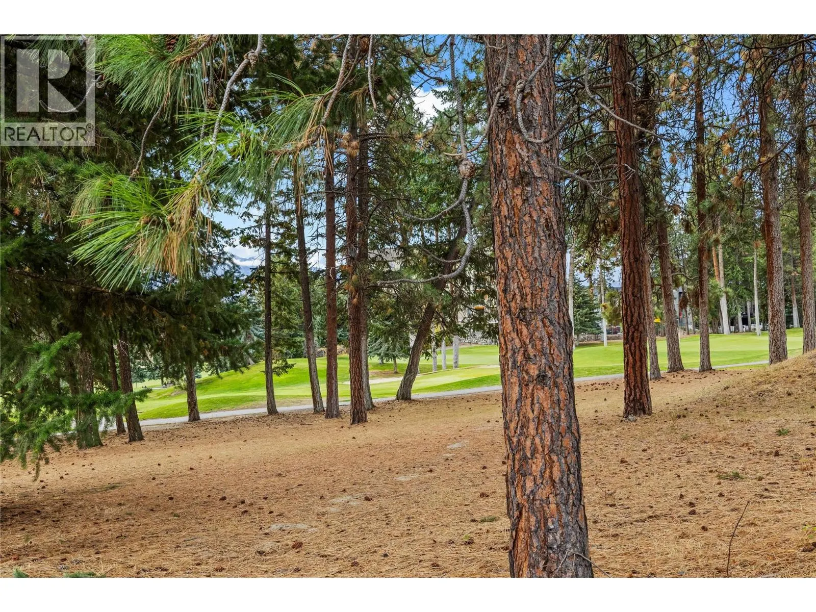 2205 Shannon Woods Place