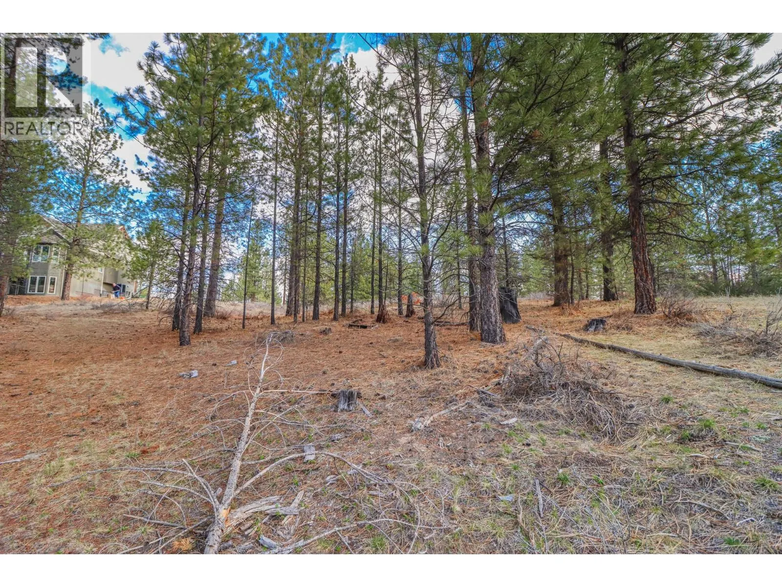 240 CORRAL Boulevard